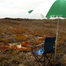Preparing for the Plein Air Convention in USA - Papamoa Beach sketching