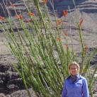 Escapade into the Grand Canyon - Me in the Grand Canyon 