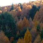 Arthurs Point is Ablaze - Hillscape of Arthurs Point