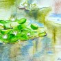 Leanne McDonnell from London - a fluid, poetic sketch of water lilies at the Botanical gardens