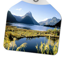 Queenstown Sightseeing