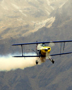 Aero Stunts