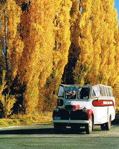 Remarkable Tours
